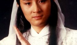 吴岱融电视剧,演绎经典角色，电视剧中的魅力传奇