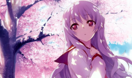 樱花动漫网,带你领略动漫世界的缤纷色彩