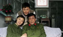 大院子女电视剧,岁月流转中的青春记忆